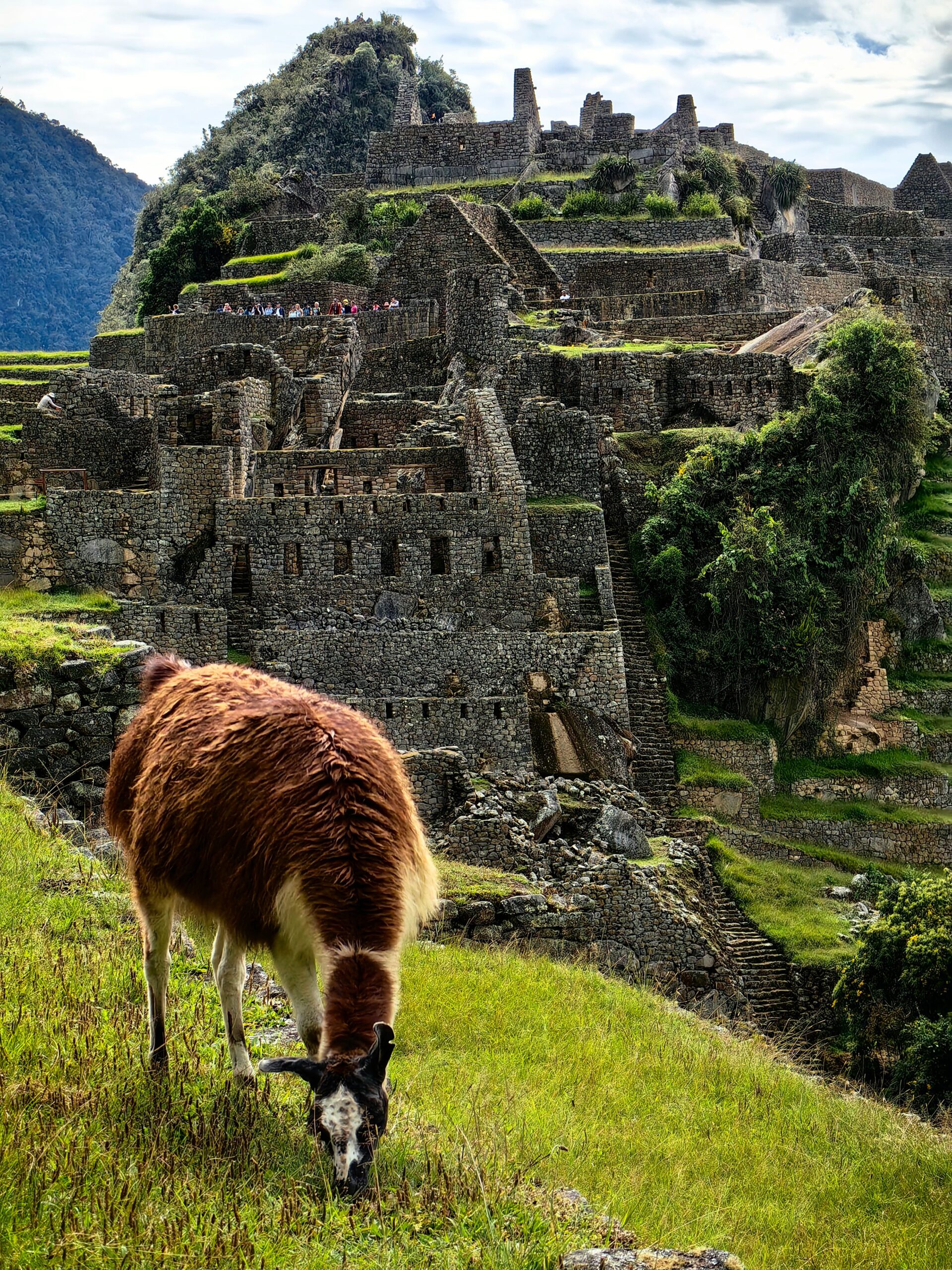 epic adventures tours peru
